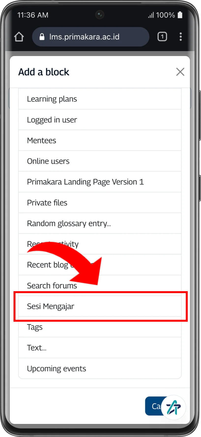 mob_sesi_mengajar_focus